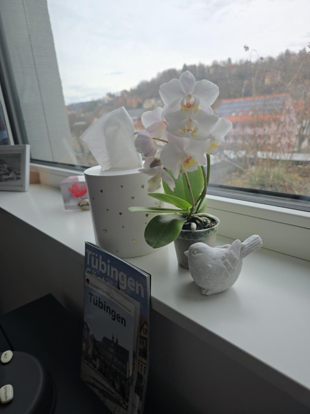 Stadtnahes Gaestezimmer Im Penthouse Bei Esi Tübingen Exteriér fotografie